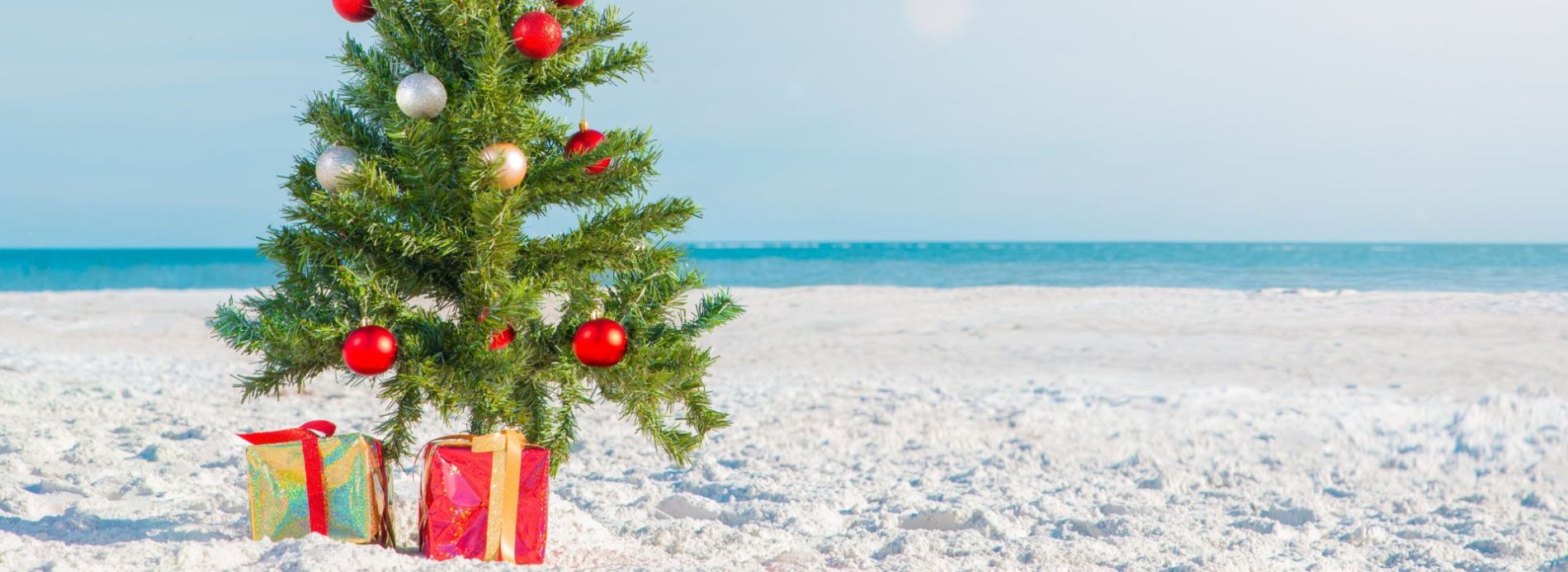 Bring on The Holiday Cheer With Christmas in Destin