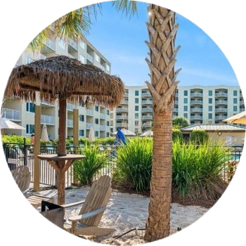 5 new removebg preview